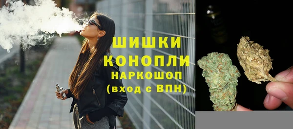 крисы Бугульма