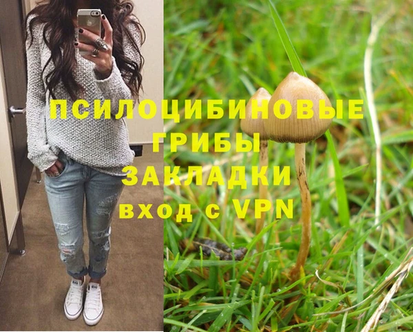 крисы Бугульма