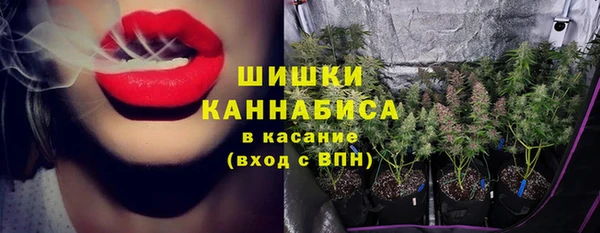 крисы Бугульма